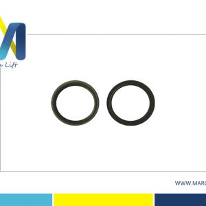 OTIS Host Oil Seal