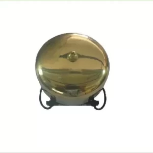 Electronic voice announcer
