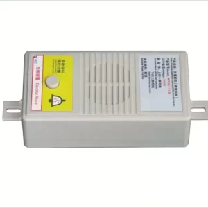 Electronic voice announcer