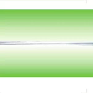 Fluorescent tube